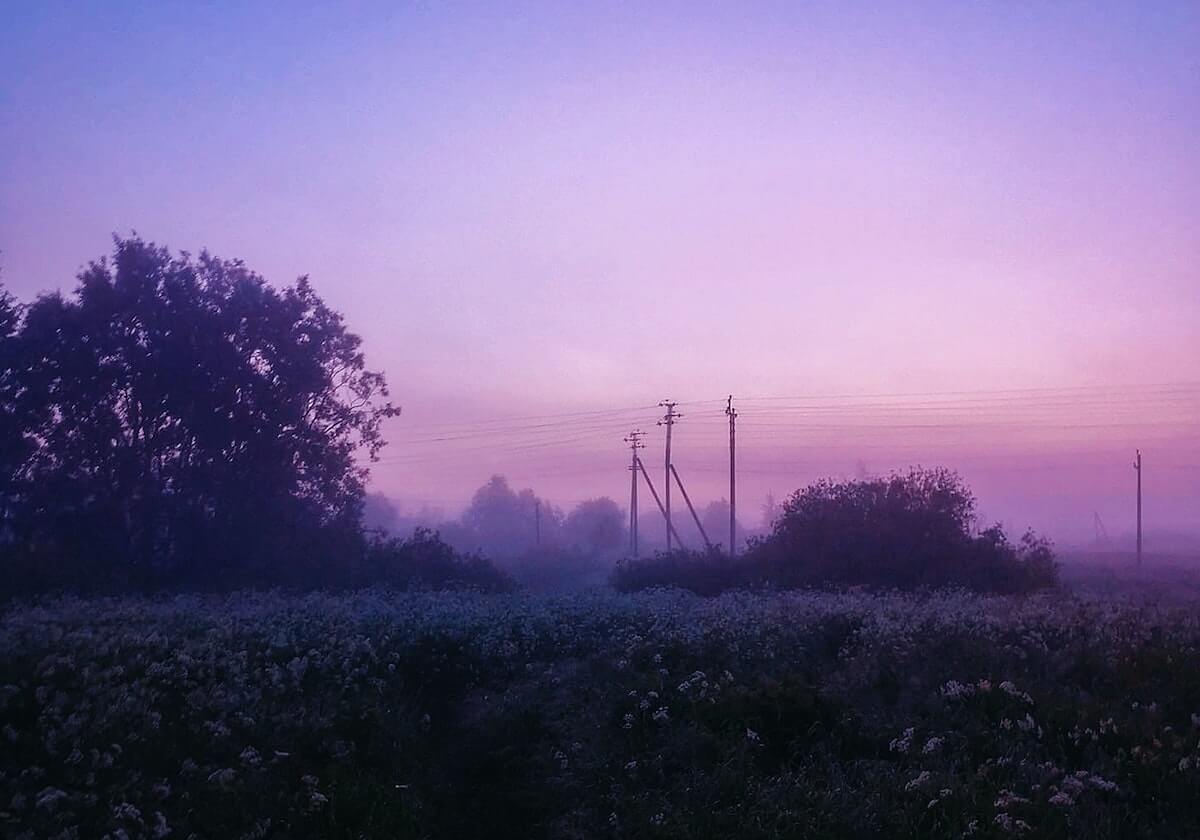 利物浦2-0完胜布莱顿!萨拉赫替补送角球助攻!绕场暂别搁置争议